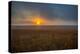 Sunrise in the Flint Hills of Kansas-Michael Scheufler-Premier Image Canvas