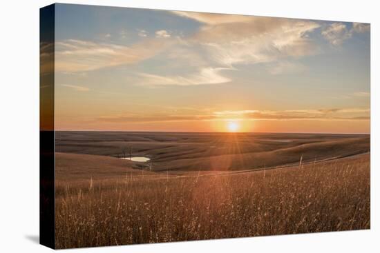 Sunrise in the Kansas Flint Hills-Michael Scheufler-Premier Image Canvas