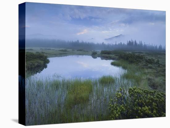 Sunrise in the Nature Reserve Siebenmšser, KitzbŸhel Alps, Moor, Hochkrimml, Gerlosplatte-Rainer Mirau-Premier Image Canvas