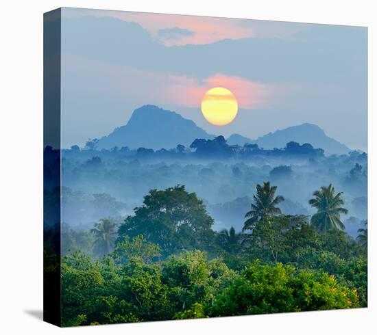 Sunrise Jungles of Sri Lanka-null-Stretched Canvas
