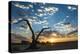 Sunrise Landscape in Sossusvlei, Namibia, July 2014-Wim van den Heever-Premier Image Canvas