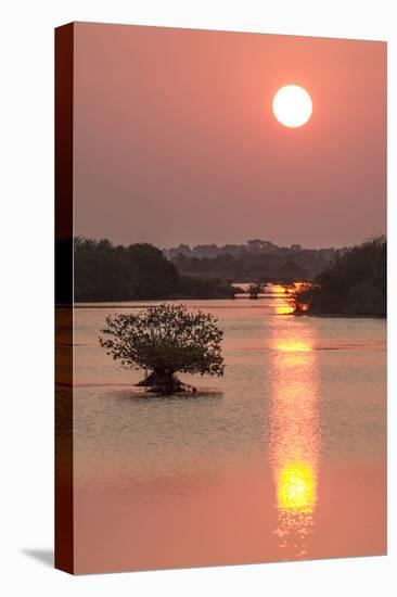 Sunrise, Mangroves and Water, Merritt Island Nwr, Florida-Rob Sheppard-Premier Image Canvas