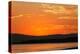 Sunrise, Mono Lake, California-Adam Jones-Premier Image Canvas