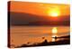 Sunrise, Mono Lake, California-Adam Jones-Premier Image Canvas