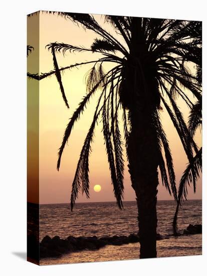 Sunrise Near Sidi Slim, Island of Jerba, Tunisia, North Africa, Africa-Hans Peter Merten-Premier Image Canvas
