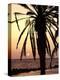 Sunrise Near Sidi Slim, Island of Jerba, Tunisia, North Africa, Africa-Hans Peter Merten-Premier Image Canvas