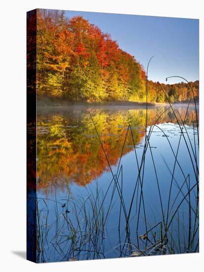 Sunrise on a Lake in Northern Maine.-Ian Shive-Premier Image Canvas