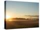 Sunrise on Field of Green Grass with Douglas Firs and Mount Rainier, Vashon Island, Washington, USA-Aaron McCoy-Premier Image Canvas