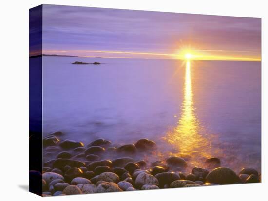 Sunrise on Fog and Shore Rocks on the Atlantic Ocean, Acadia National Park, Maine, USA-Christopher Talbot Frank-Premier Image Canvas