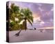 Sunrise on Smathers Beach in Key West, Florida Keys, Florida, USA-null-Stretched Canvas