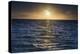 Sunrise on the Tropical, Pacific Island of Rarotonga, Cook Islands, South Pacific, Pacific-Matthew Williams-Ellis-Premier Image Canvas