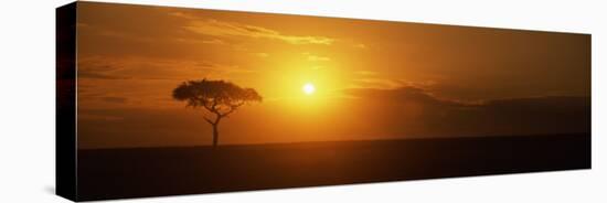 Sunrise over a Landscape, Masai Mara National Reserve, Kenya-null-Premier Image Canvas