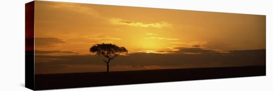 Sunrise over a Landscape, Masai Mara National Reserve, Kenya-null-Premier Image Canvas