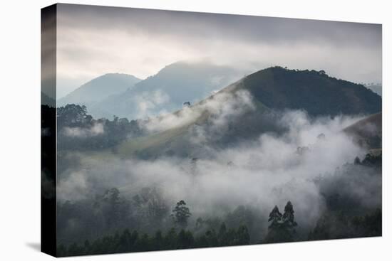 Sunrise over a Misty Landscape in the Sao Francisco Xavier Region in Sao Paulo State, Brazil-Alex Saberi-Premier Image Canvas