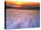 Sunrise over Atlantic Ocean, Assateague Island National Seashore, Virginia, USA-Charles Gurche-Premier Image Canvas