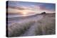 Sunrise over Bamburgh Beach and Castle from the Sand Dunes, Northumberland, England. Spring (March)-Adam Burton-Premier Image Canvas