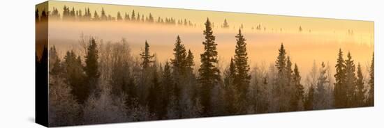 Sunrise over Fairbanks, Alaska, Usa-Christian Heeb-Premier Image Canvas