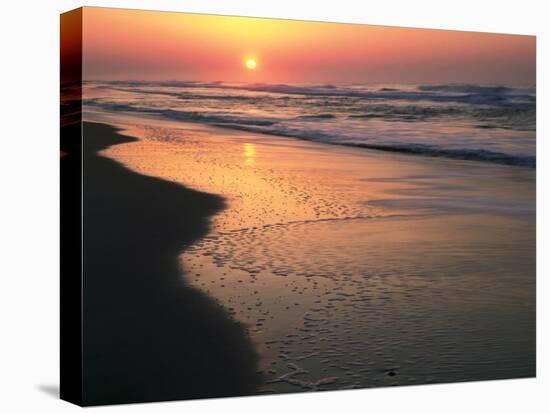 Sunrise over Outer Banks, Cape Hatteras National Seashore, North Carolina, USA-Scott T^ Smith-Premier Image Canvas
