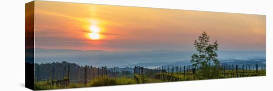 Sunrise over the vineyards of Tuscany. Tuscany, Italy.-Tom Norring-Premier Image Canvas
