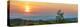 Sunrise over the vineyards of Tuscany. Tuscany, Italy.-Tom Norring-Premier Image Canvas
