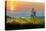 Sunrise over the vineyards of Tuscany. Tuscany, Italy.-Tom Norring-Premier Image Canvas