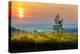 Sunrise over the vineyards of Tuscany. Tuscany, Italy.-Tom Norring-Premier Image Canvas