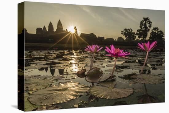 Sunrise over the West Entrance to Angkor Wat, Angkor, Siem Reap, Cambodia-Michael Nolan-Premier Image Canvas