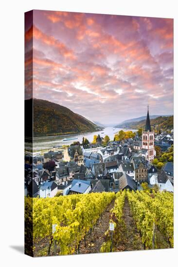 Sunrise over Vineyards, Bacharach, Rhineland-Palatinate, Germany-Matteo Colombo-Premier Image Canvas