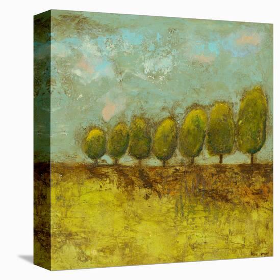 Sunrise Road II-Anne Hempel-Stretched Canvas