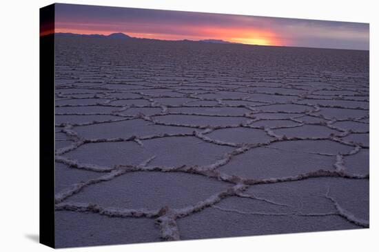 Sunrise, Salar de Uyuni, Uyuni, Bolivia-Anthony Asael-Premier Image Canvas