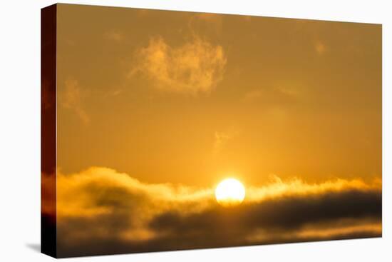 Sunrise, Sonoma, California-Rob Sheppard-Premier Image Canvas