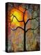 Sunrise Sunset Tree-Blenda Tyvoll-Stretched Canvas