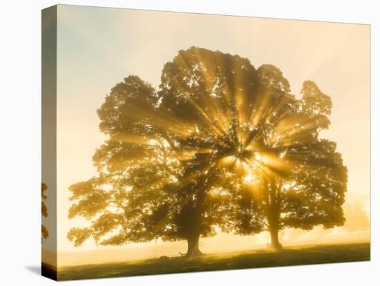 Sunrise, Usk Valley, South Wales, UK-Peter Adams-Premier Image Canvas