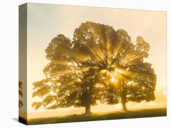 Sunrise, Usk Valley, South Wales, UK-Peter Adams-Premier Image Canvas