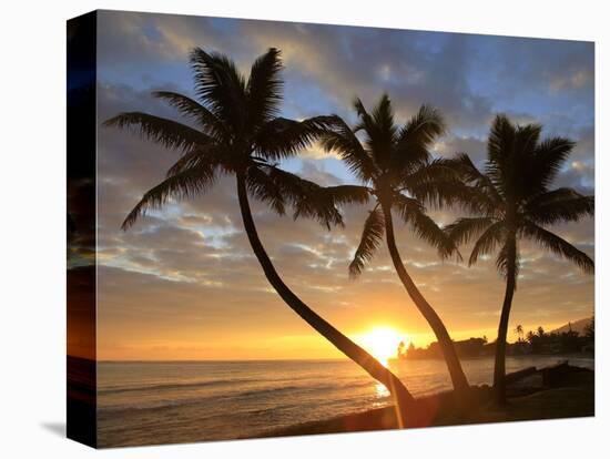 Sunrise, Windward Oahu, Hawaii-Douglas Peebles-Premier Image Canvas