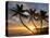 Sunrise, Windward Oahu, Hawaii-Douglas Peebles-Premier Image Canvas