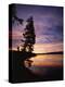 Sunrise, Yellowstone Lake, Yellowstone National Park, Wyoming-Geoff Renner-Premier Image Canvas