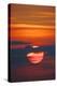 Sunrise-Gary Carter-Premier Image Canvas