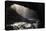 Sunryas in a cave, Oregon, USA-Panoramic Images-Premier Image Canvas