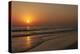 Sunset across Quiet Surf, Crescent Beach, Sarasota, Florida, USA-Bernard Friel-Premier Image Canvas