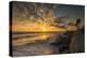 Sunset Along Tamarack Beach in Carlsbad, Ca-Andrew Shoemaker-Premier Image Canvas