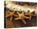 Sunset and Starfish on Surf Line, Maui, Hawaii, USA-Darrell Gulin-Premier Image Canvas