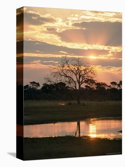 Sunset and Waterhole, Hwange National Park, Zimbabwe, Africa-Sergio Pitamitz-Premier Image Canvas