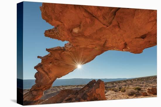 Sunset Arch Grand Staircase Escalante National Monument-Alan Majchrowicz-Premier Image Canvas