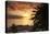 Sunset, Arguineguin, Gran Canaria, Canary Islands, Spain-Peter Thompson-Premier Image Canvas