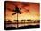 Sunset at Anaehoomalu Bay-James Randklev-Premier Image Canvas