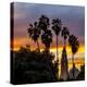 Sunset at Balboa Park in San Diego, Ca-Andrew Shoemaker-Premier Image Canvas