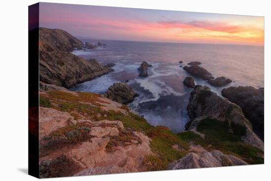 Sunset at Bodega Head-Vincent James-Premier Image Canvas