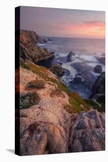 Sunset at Bodega Headlands-Vincent James-Premier Image Canvas