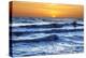Sunset at Brighton Beach, Sussex, England, United Kingdom, Europe-Mark Mawson-Premier Image Canvas
